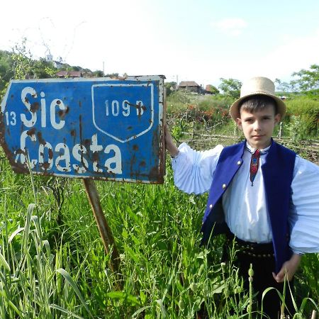 Csipkeszeg Bed & Breakfast Sic / Szek Romania Bagian luar foto