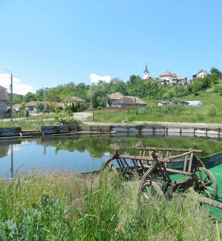 Csipkeszeg Bed & Breakfast Sic / Szek Romania Bagian luar foto