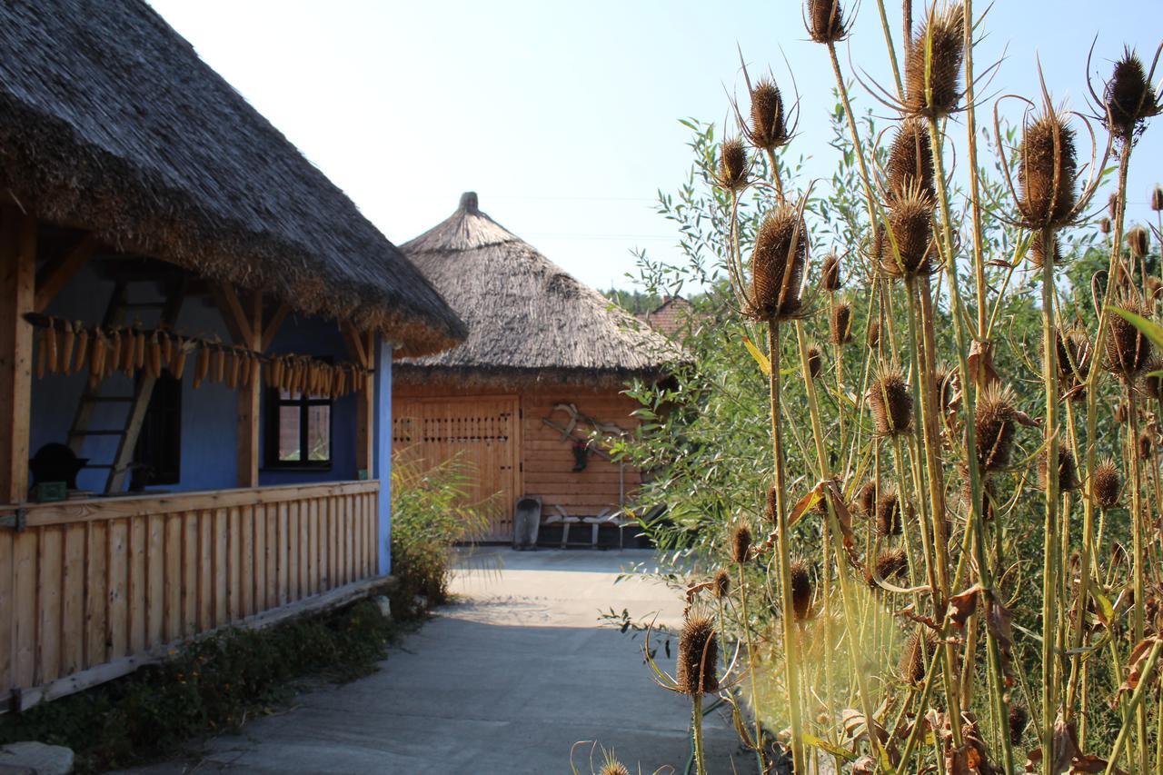 Csipkeszeg Bed & Breakfast Sic / Szek Romania Bagian luar foto