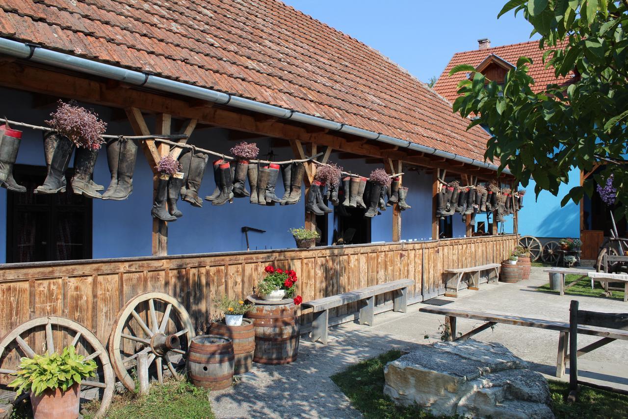 Csipkeszeg Bed & Breakfast Sic / Szek Romania Bagian luar foto